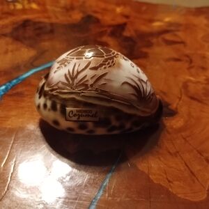Decorative Seashell with Etched Design
